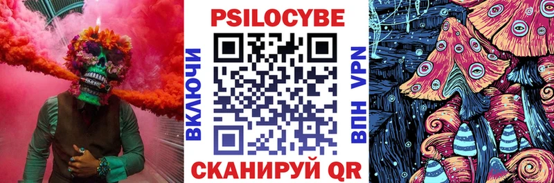 Купить где  Алзамай  Псилоцибиновые грибы мицелий 